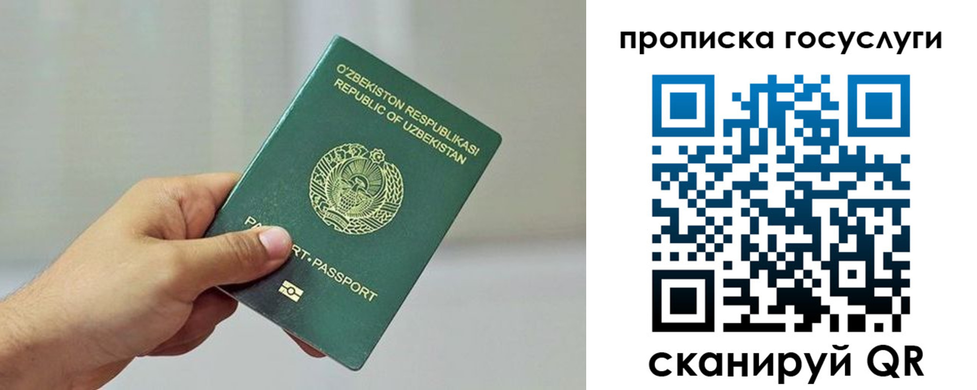 временная регистрация адрес в Химках